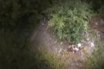 Расстрел медиков, фото: youtube