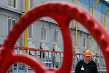 Уже шесть стран хотят хранить свой газ в Украине