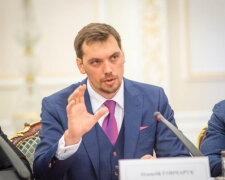 Знати все: Гончарук готується відкрити українцям доступ до найсокровеннішого