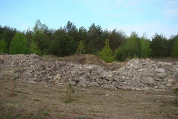 Гниють тисячі трупів: Києву загрожує екологічна катастрофа