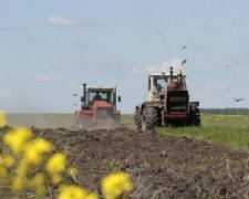 Посівна в Україні подорожчає на третину