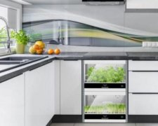 Как устроить домашнюю ферму прямо на кухне: фото