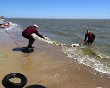 Еще шевелилось: на крымском пляже нашли Чужого