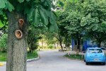Київ, фото: Знай.ua