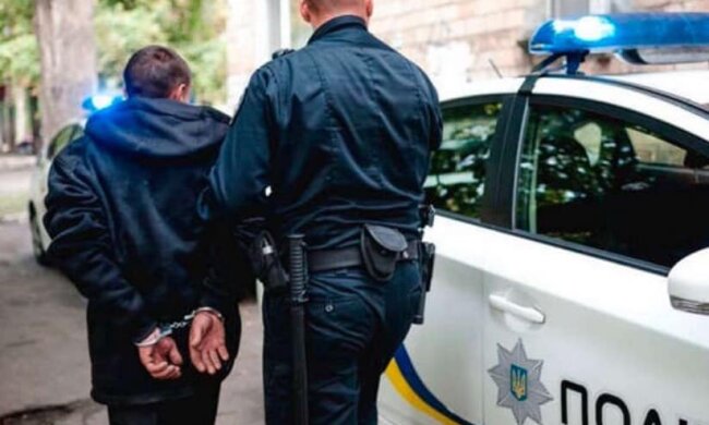 Мертвые пчелы не гудят: на Прикарпатье война между соседями закончилась на нарах