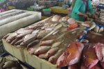 Запорожцев заставят пить коктейли из кальмаров - Чернобыль перед глазами