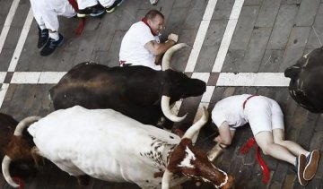 Іспанські бики влаштували туристам криваву бійню