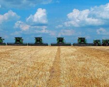 Лесєв передбачив, чим агукнеться скасування мораторію на землю: виїжджатимуть мільйони українців