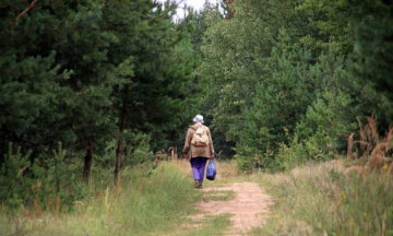 Під Вінницею зник 90-річний любитель пригод: "Пішов по гриби і..."