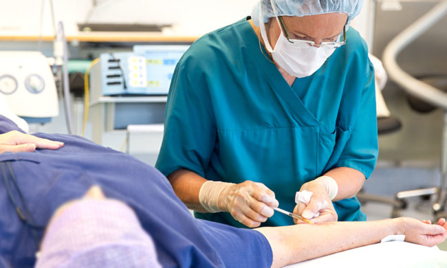 4 февраля: какой сегодня праздник