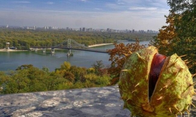 Киевляне, радуйтесь: лето вернется в столицу 6 сентября