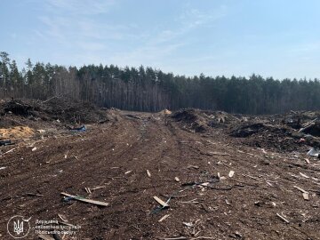 засмічення земель у Радомишльській громаді