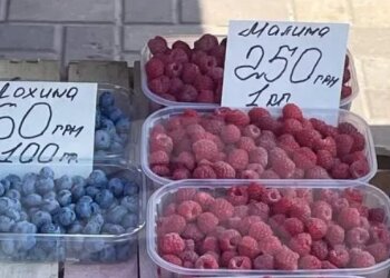 Цена на малину. Фото informator.ua