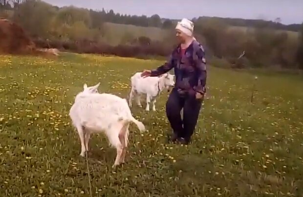 У Дніпрі кози почепили маски і змусили реготати всю Україну - "тепер ви бачили все"