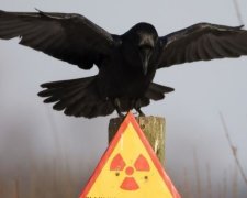 Кремль утилізує на Донбасі небезпечну зброю