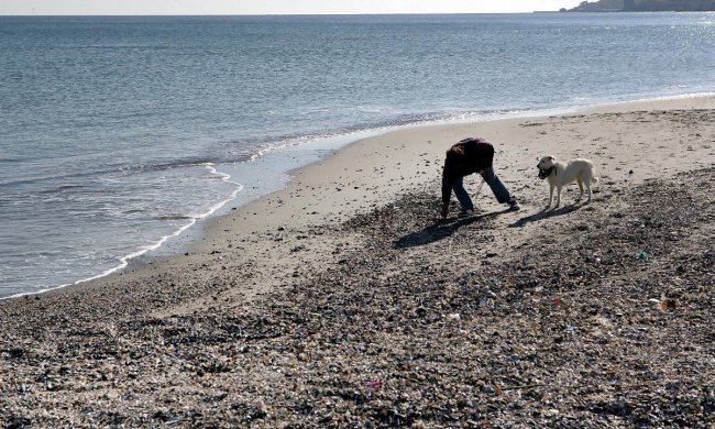 Эффектные пейзажи: в Одессе "отступило" море, обнажив красоту побережья