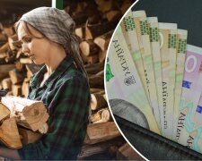 Пільги на дрова та газ: комунальна допомога