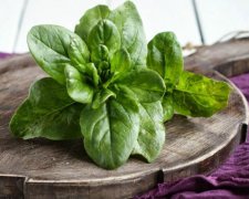 Зелені "друзі", яких не вистачає у вашому раціоні