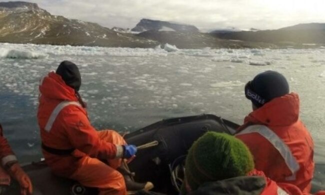 Вчені виявили тонну останків динозаврів у Антарктиді