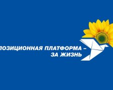 Зеленский продолжает игнорировать пленных украинских моряков, – ОПЗЖ