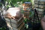 Добровольчий батальйон заховав у лісозмузі боєприпаси (фото)