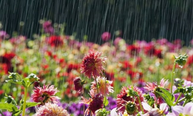 Погода на 21 мая: прогноз подмочит настроение во вторник