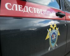 У Путіна вирішили "розслідувати", як вони вбили Вороненкова