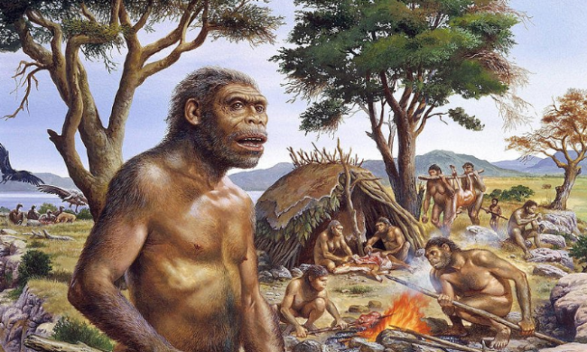 Homo erectus, ілюстрація: versiya.info
