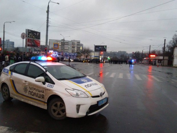 В Харькове животное выгнало людей из автобуса: кадры переполоха
