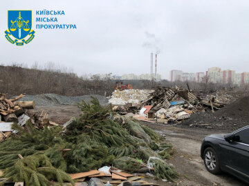 незаконная свалка в столице