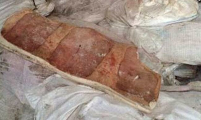 Контрабандисты везли в Россию 20 тонн нашего сала (фото)