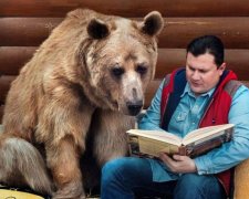 Ведмідь - тупа тварина: депутат Держдуми різко розкритикував росіян