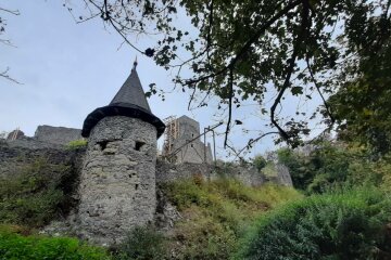 Невицький замок / фото : Медіацентр УжНУ