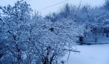  Україну засипає снігом