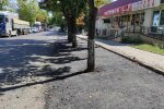 Алея в Миколаєві, фото: Facebook