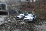Шторм наделал беды во Львове, две машины похоронило под деревьями - передки вдребезги