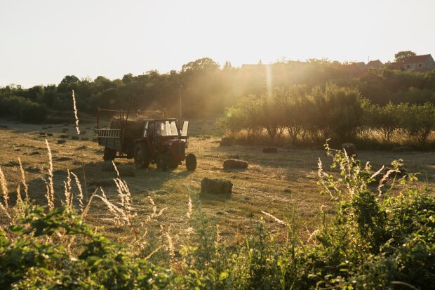 Пенсіонери сідають за трактор: як мобілізація впливає на українські села