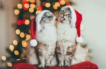 Новый год, фото: Pinterest