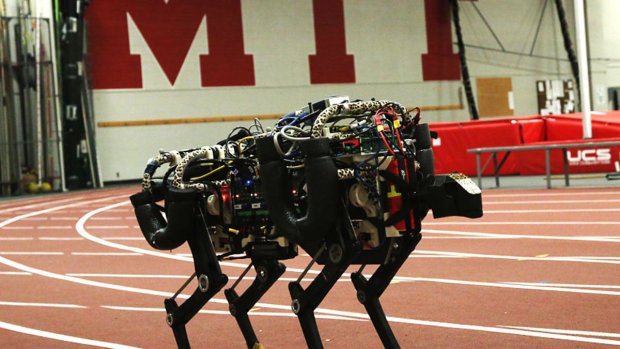 Собака-робот от MIT