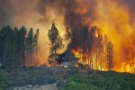 Шашлики з наслідками: під Києвом відпочинок закінчився лісовою пожежею