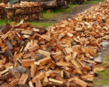 Депутати змінили тарифи на тепло з біопалива