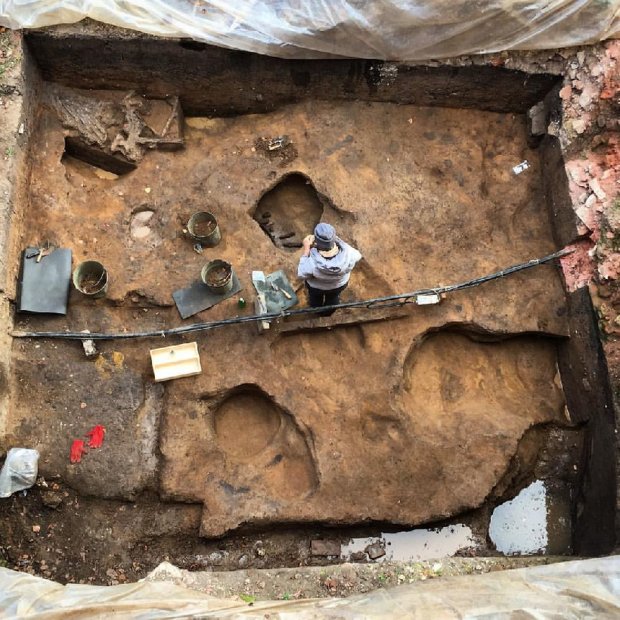 Археологи наткнулись на череп мамонта: вы не поверите, что было внутри