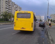 Матюки та перегар на весь салон: п'яну дніпрянку виштовхали з маршрутки, відео скандальної потасовки