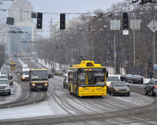 Столичному водію-"супермену" пообіцяли премію: врятував мільйони, отримає – мізер