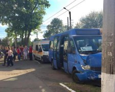 Маршрутчик протащил пенсионерку по асфальту: соцсети в бешенстве