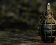 Две гранаты нашли возле торгового центра в Лисичанске