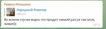 Telegram-канал "Народный ревизор"