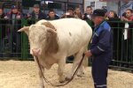 Рік білого бика, скріншот відео