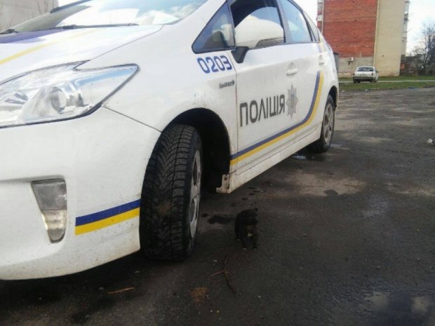 Одеський поліцейський наклав на себе руки