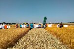Фото: Руслан Сміленко/Фейсбук-група "Разом сила, фермери"